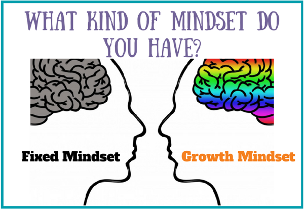 Topic Tuesday - Mindset Theory