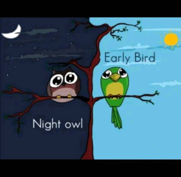 An early bird or a night owl???!!