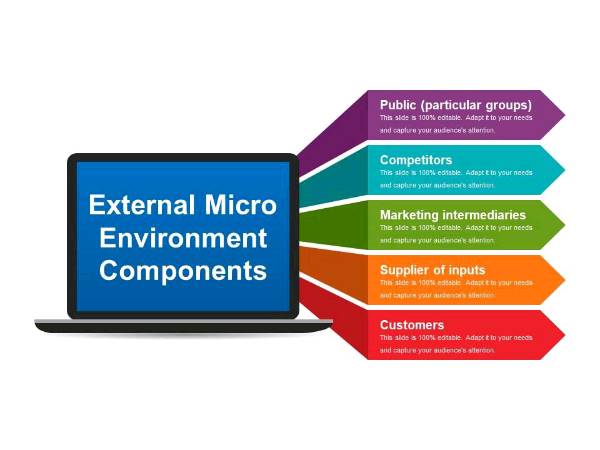 Components of micro environment