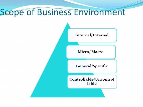 Scope of business environment