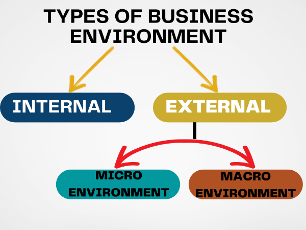 Types of business environment