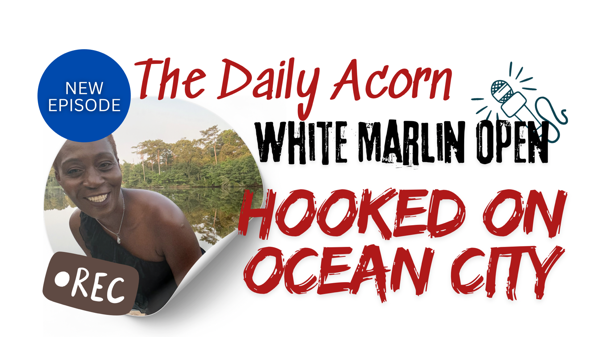 @OnAcornBay | #TheDailyAcorn - White Marlin Open - DAY 1