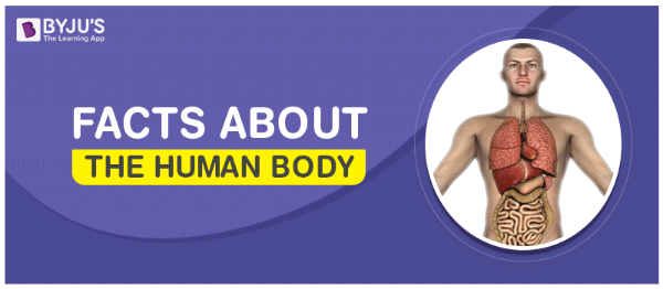 Did you know about these human body facts?