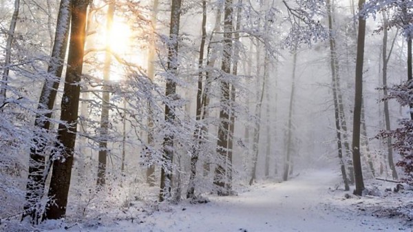 Stopping by woods on a snowy evening – Robert frost