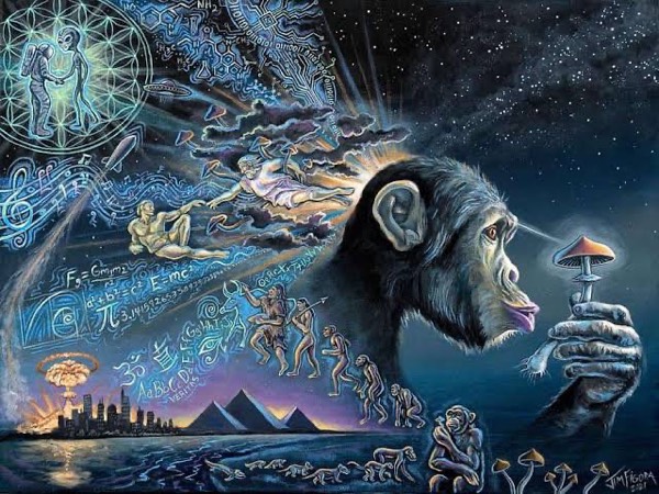 The stoned ape theory