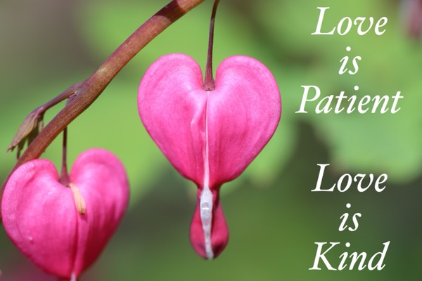 Love is Patient, Love is kind
