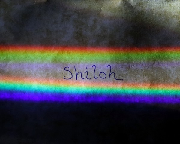 "Shiloh" - Poetry 4/7/23