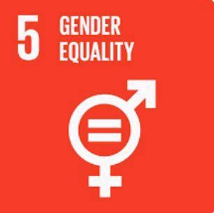 UN SDG 5 & It's loopholes that severely affects the LGBTQIA+ Community