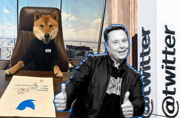 Elon Musk introduces the new CEO of Twitter- A Dog
