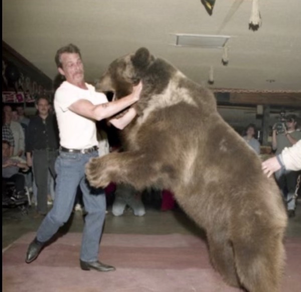 Bear Wrestling
