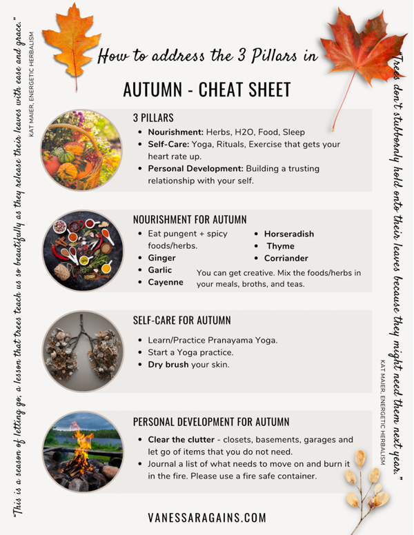#Autumn 🍁#CheatSheet