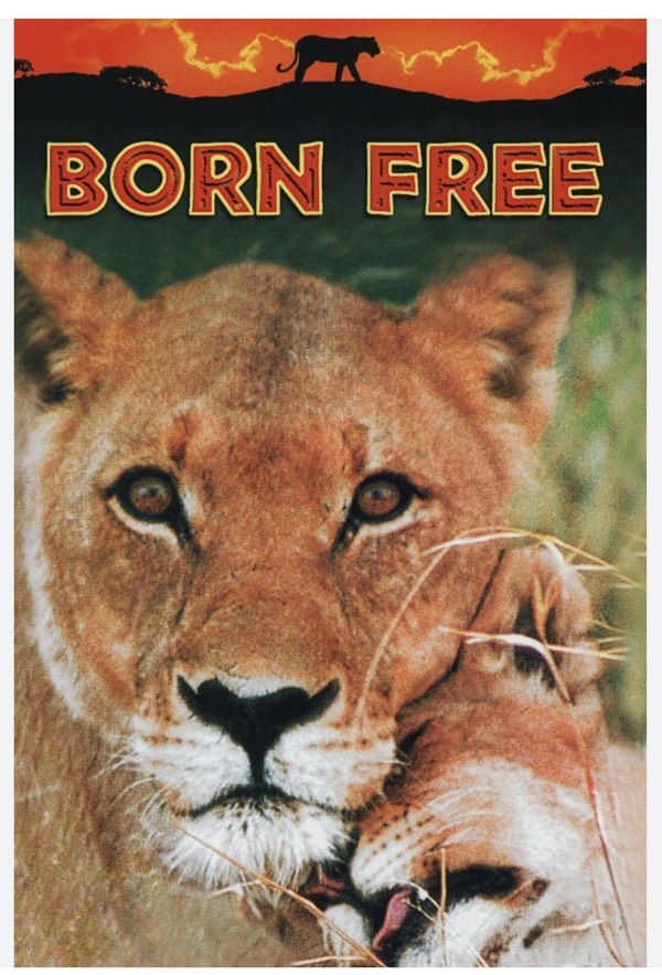 Are we born free?