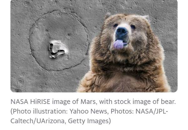 Is really a bear on Mars?