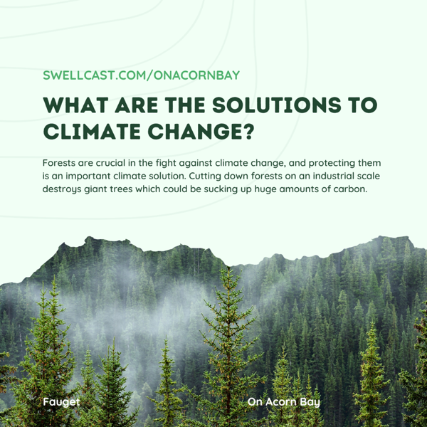 How Does Climate Action issues show up in your daily life?