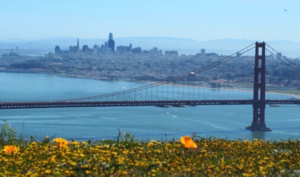 Younger workers return to San Francisco and the Bay Srea.