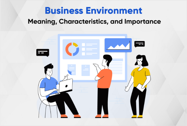 Business environment introduction