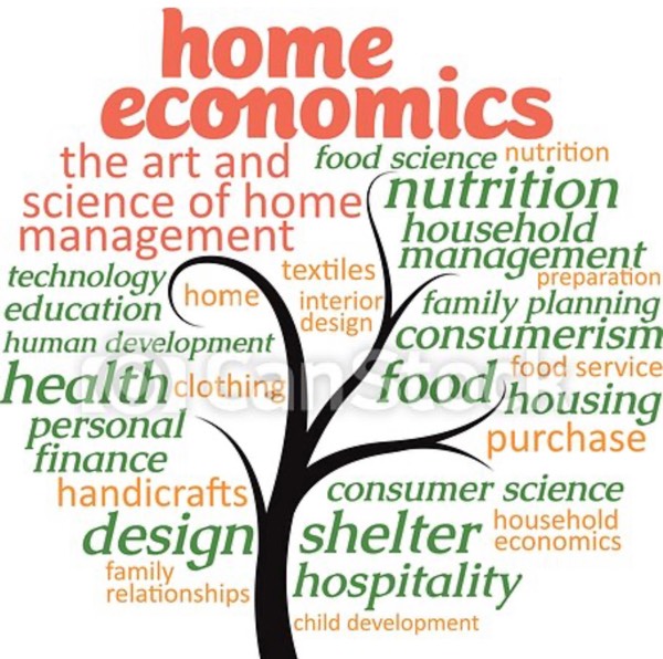 Should Life Skills/ Home Economics Classes be brought back ?