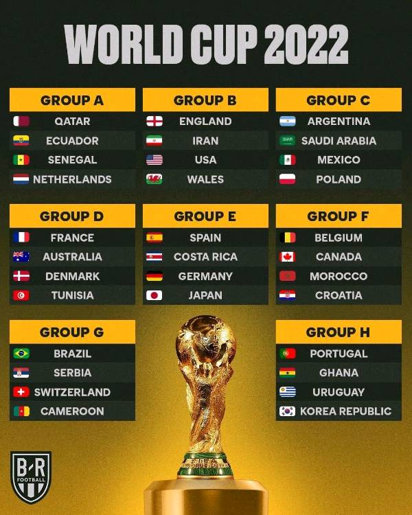 Swell World Cup Preview 2022