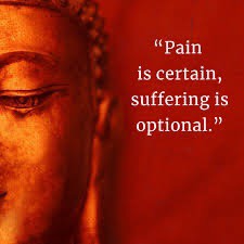 Pain vs. Suffering