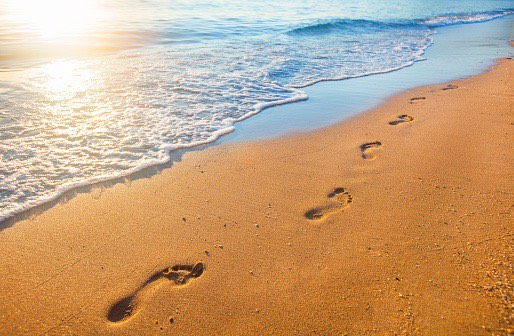 Spiritual FootPrints/No One Owns Knowledge