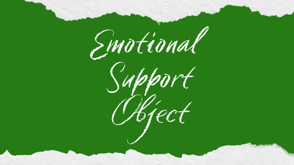 Emotional Support Object