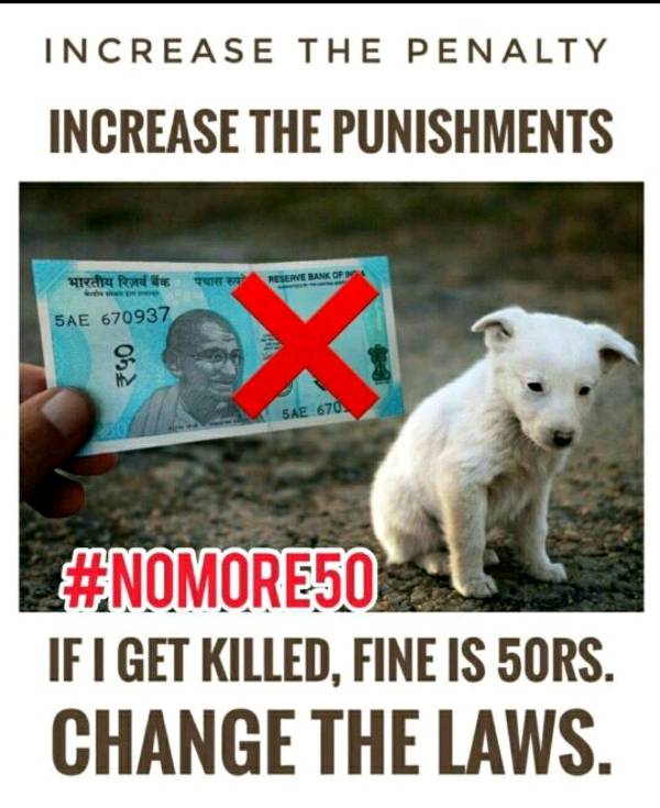 Prevention of Cruelty to Animals Act 1960 and the need for amendment!