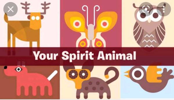 What's your spirit animal?