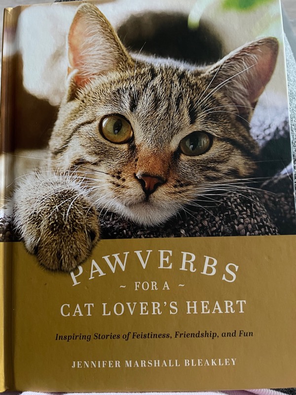 Pawverbs for a Cat Lover’s Heart