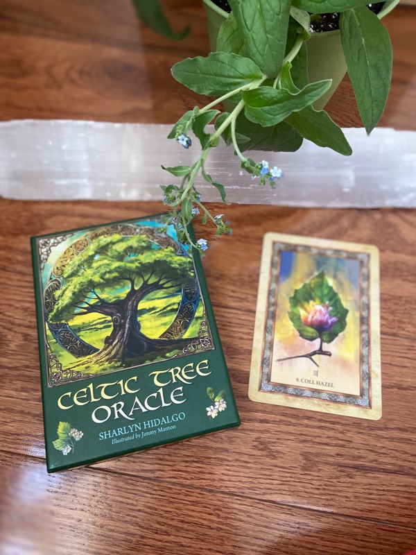 Celtic Tree Oracle: Coll Hazel