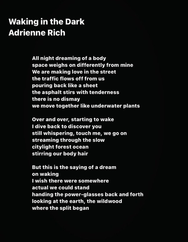 Waking in the Dark by Adrienne Rich