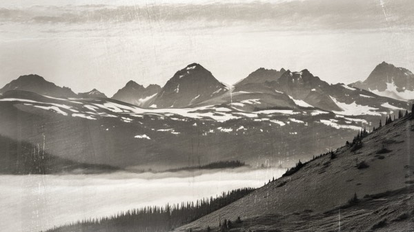 Richard Sisk