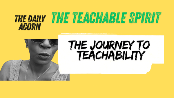 @OnAcornBay | #TheDailyAcorn - The Journey To Teachabulity!