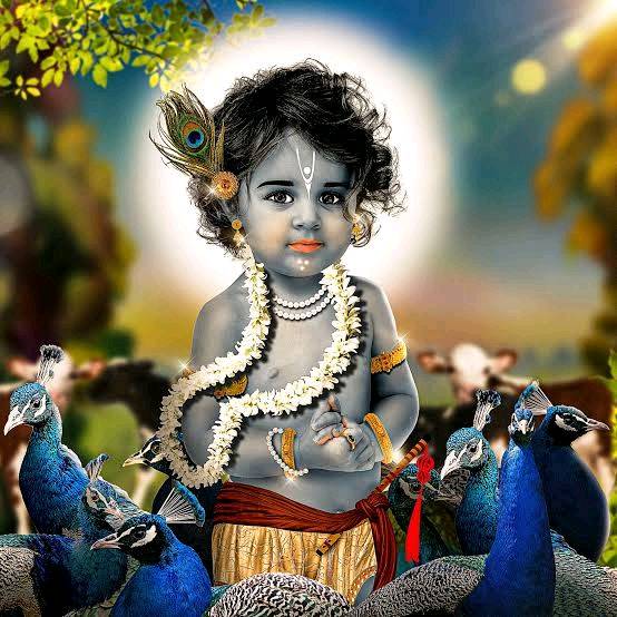 Synopsis on Lord Krishna's Life