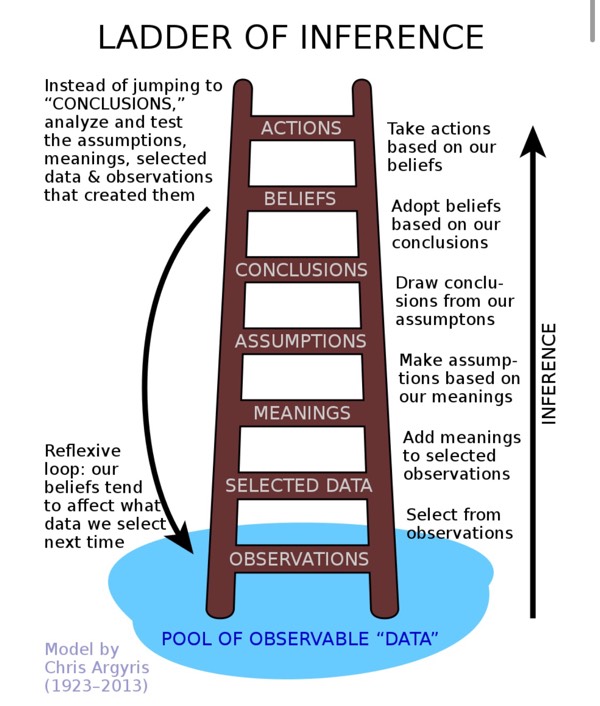 Make Your Reasoning More Clear:: Using the Ladder of Inference
