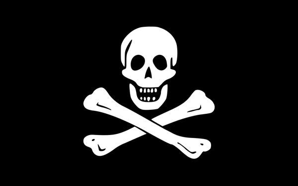 what does Online piracy mean ?