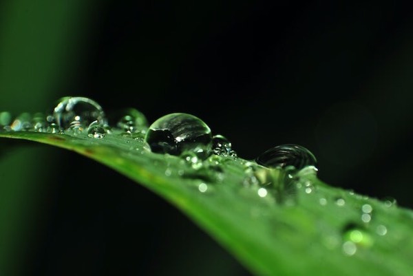 Raindrop by Michael Harbour-A Poem