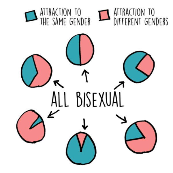 Being bi or pan does not mean straight or gay