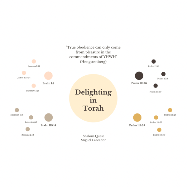 Delighting in Torah