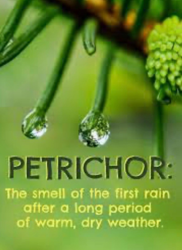 You are my Petrichor