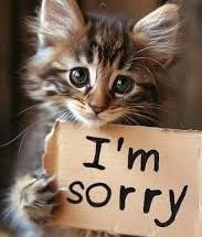 Are you Sorry of Saying You’re Sorry?