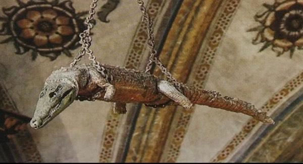 500 Year old crocodile in Italian church #1347