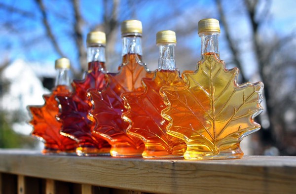 Sugar vs. Maple Syrup/Honey 🧐