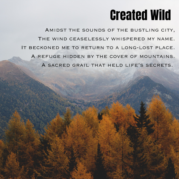 Poetry reading: Created Wild