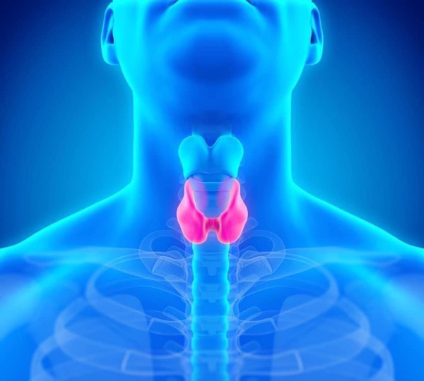 "How to Thrive with Hashimoto's: Navigating the Thyroid Journey"