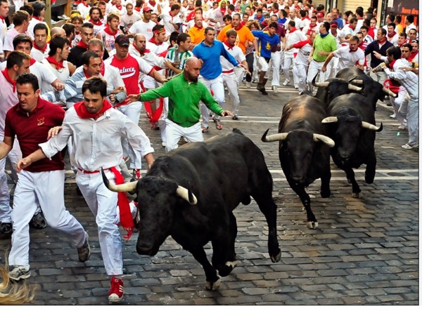 Run with the Bulls!!