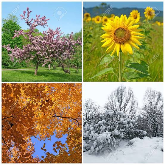 Summer, Winter, Spring and Monsoon: Which one is your favourite season?