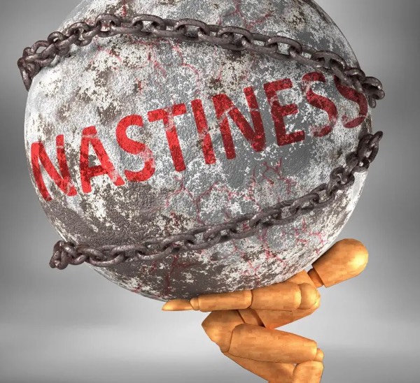 Nastiness - Negativity Bias