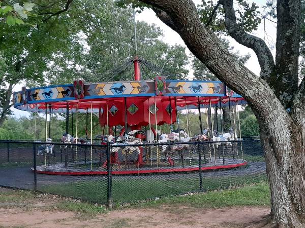 Lucky are the horses in carousels - a silly poem I wrote today
