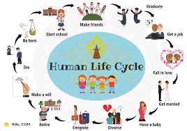 Human life