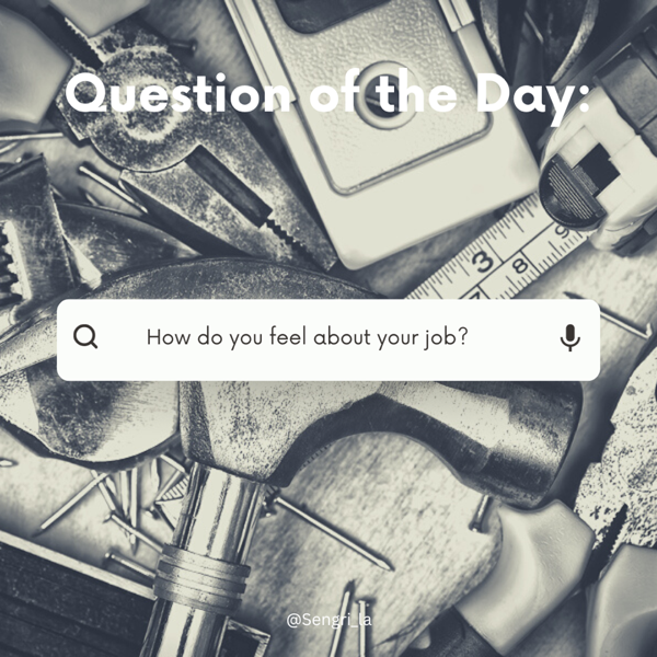 Question of the Day: How Do You Feel About Your Job?